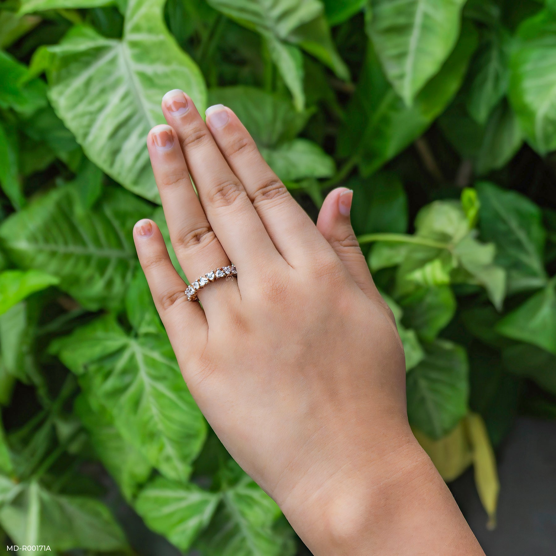 The Deific Scarlet Bands 14K White Gold