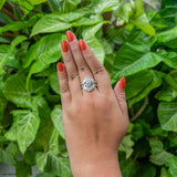 The Imperial Marquise Halo Set Ring 9K White Gold