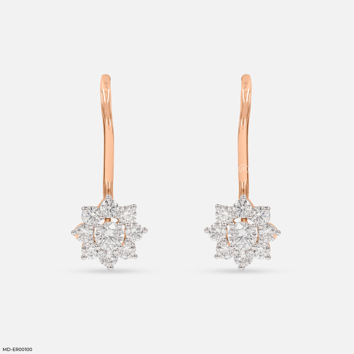 Ornate Sparkle Earrings