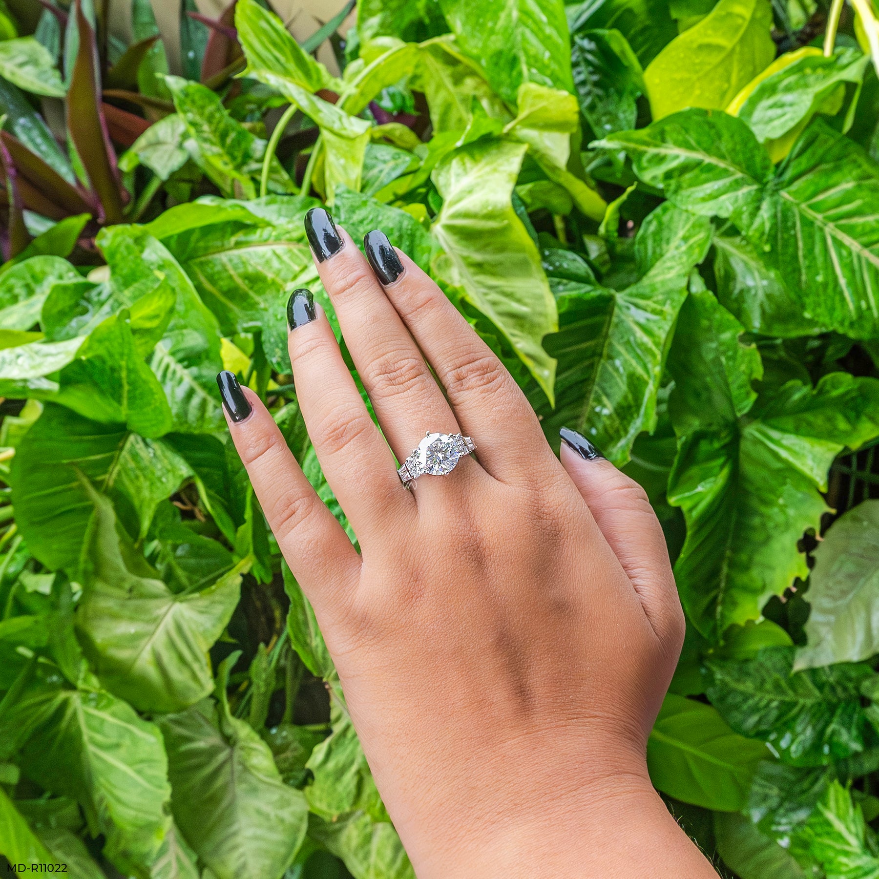 Auraya Shine Solitaire Dimaond Rings 9K Yellow Gold